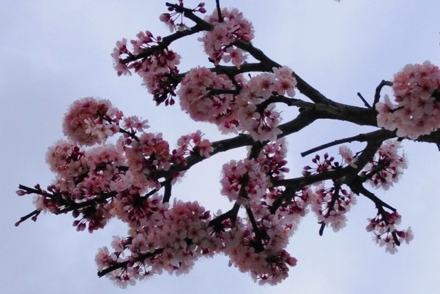 156039331_3685532451562033_243155010269202886_o.jp