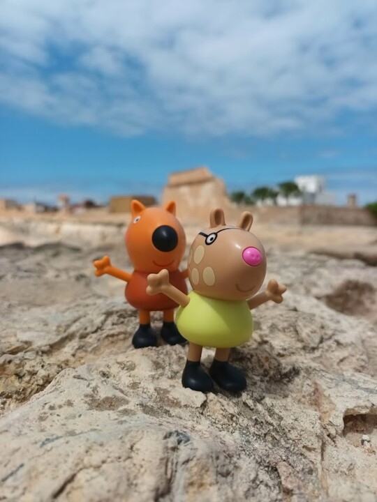 Não me canso disto eles.jpg
