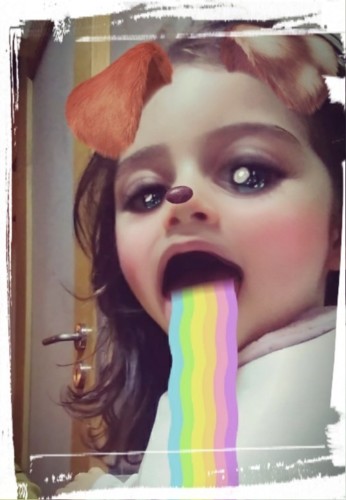 cam.jpg