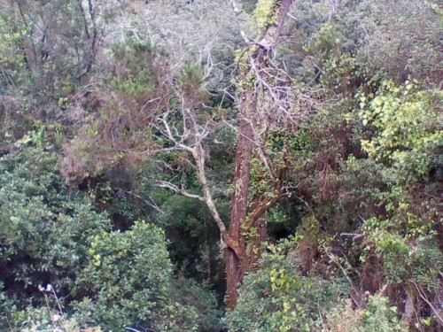 37642133_1738131476302150_7102573883953250304_n.jp