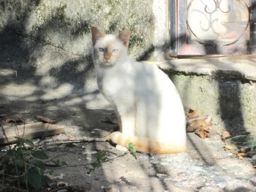 IMG_5038.JPG IMG_5038.JPG