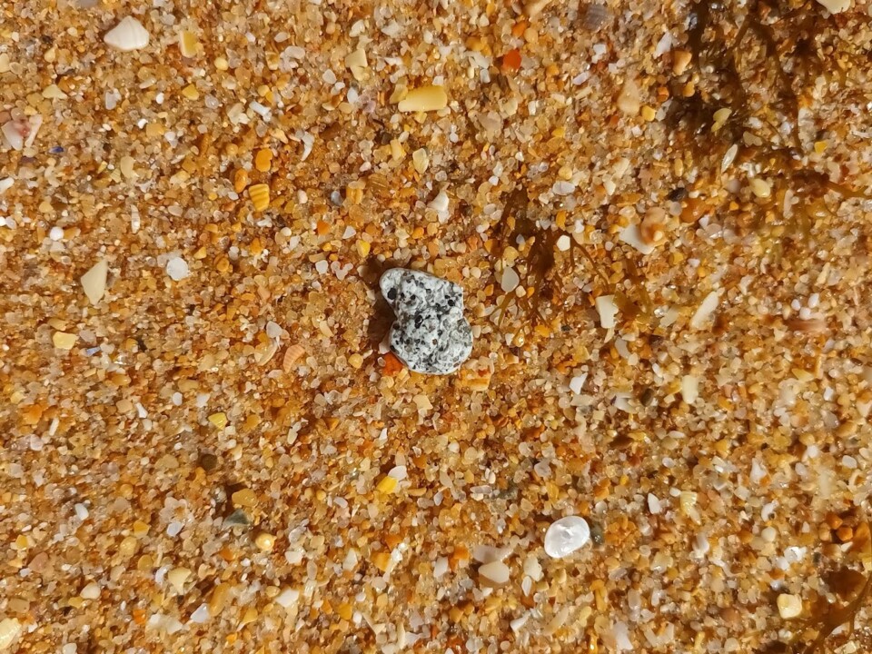 Não me canso disto praia 2.jpg