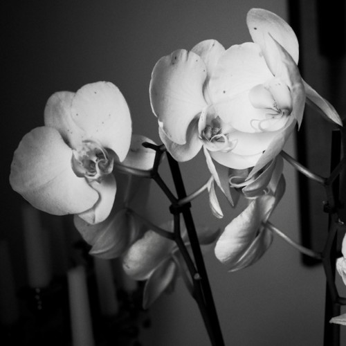 R0000801.jpg R0000801.jpg