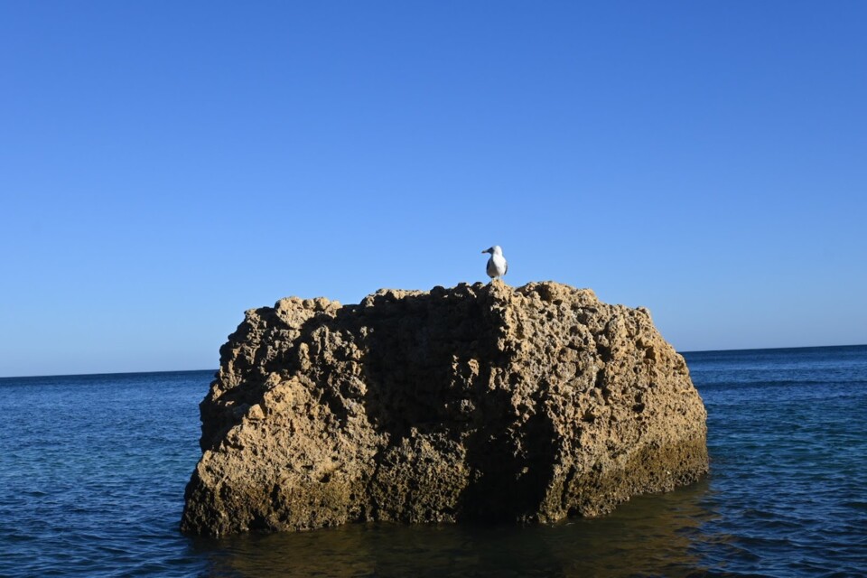 Não me canso disto mar2.JPG