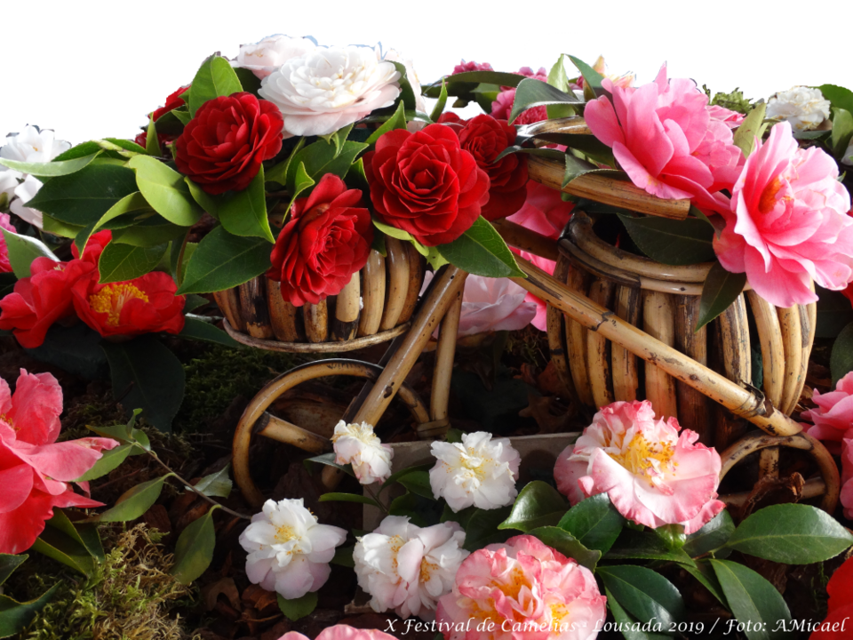 5 - DSC05607-1000X750.png