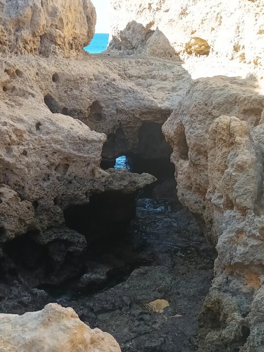 Não me canso disto_Carvoeiro Fim3.jpg