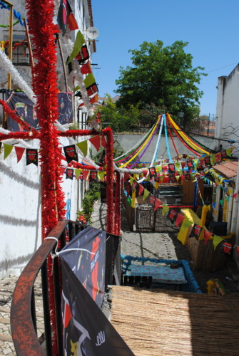 DSC_0463.JPG