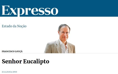 2018-11-21 Louçã Expresso.jpg