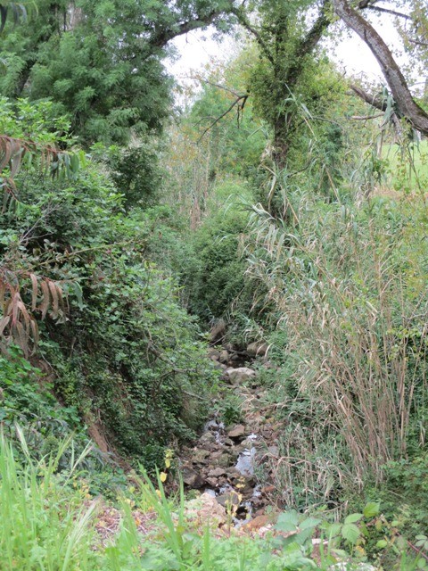 169028237_3776999965748614_1729255681722521202_n.j