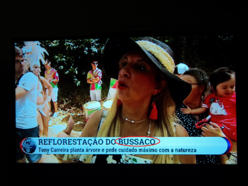 BUSSACO.png BUSSACO.png