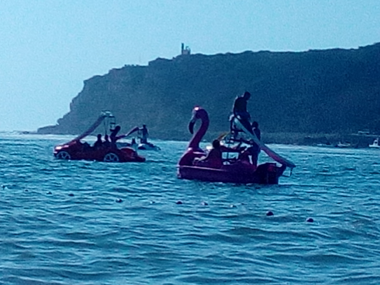PE_20190809_202421.png PE_20190809_202421.png