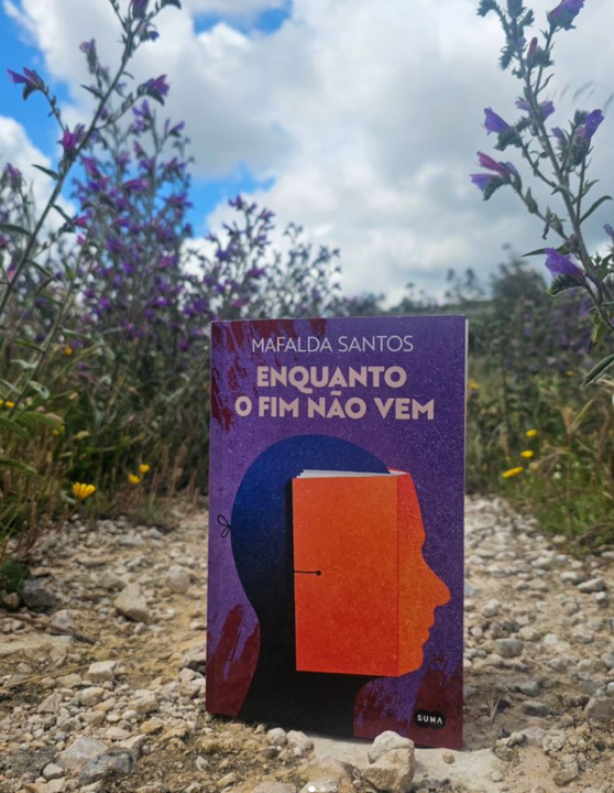 Captura de ecrã 2024-05-20 094952.png