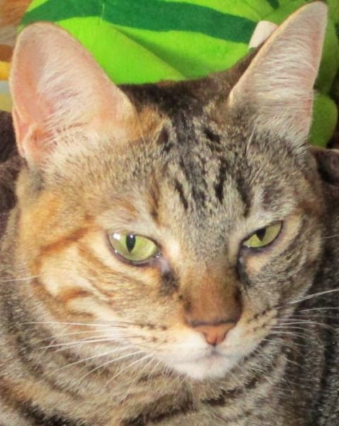 71550391_2488122981459831_3299001789222748160_o.jp