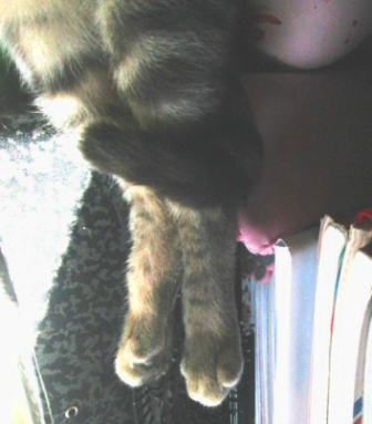 22852978_1991179904487477_2819313494331961576_n.pn