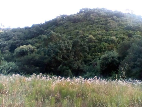 37674700_1738128692969095_7716218964161855488_n.jp