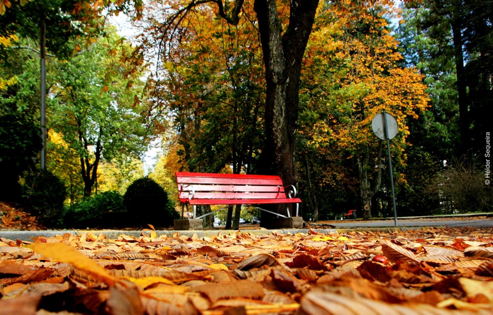 Outono 8 -Parque - HS.jpg