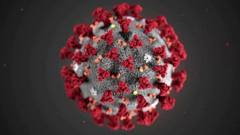 Coronavirus3.jpg Coronavirus3.jpg