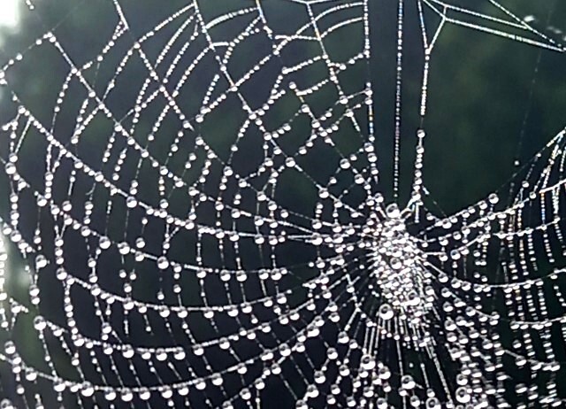 20240510_075355 (1).jpg