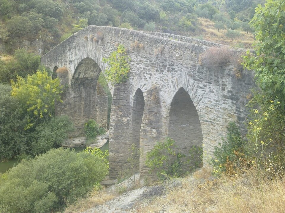 122862545.jpg