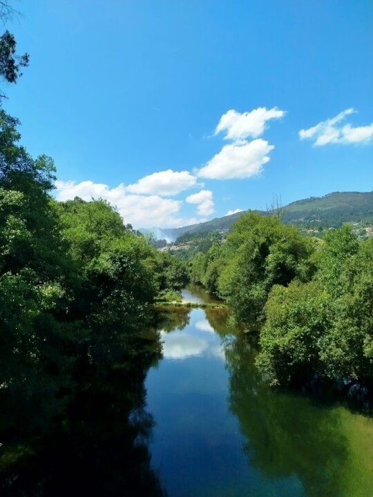 Não me canso disto minho6.jpg