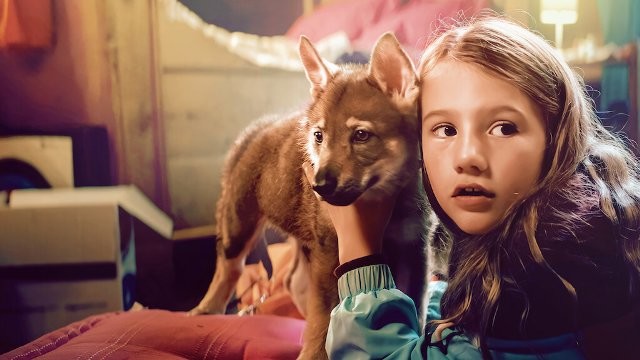 AAAABczYKmLZIhkifGuv8lPHknPcYwLqF6Yi2m3el5f8PzPu2p