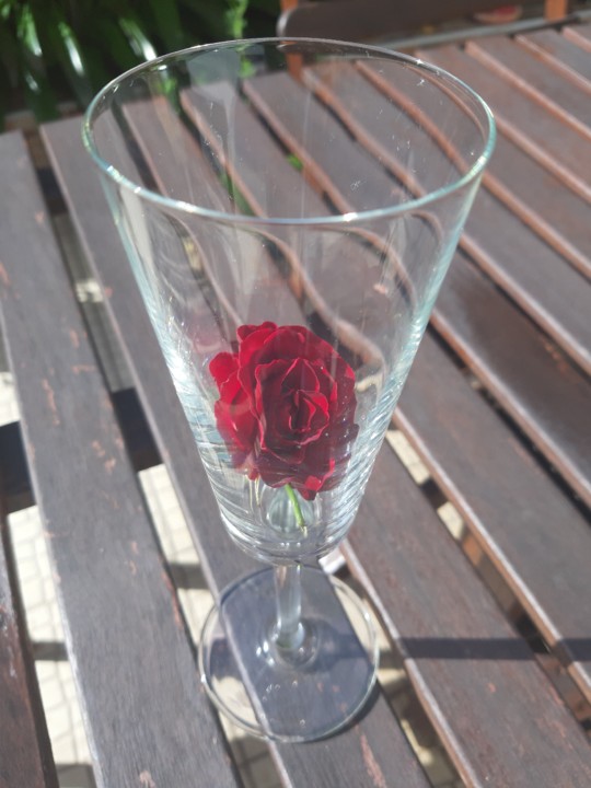 20190418_093930.jpg