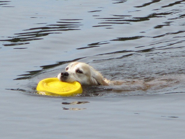 199439285_3982009585247650_475256392784273266_n.jp