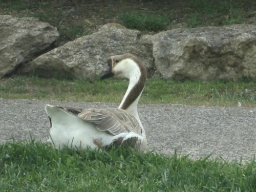 33147996_1652200744895224_7636666012242280448_n.jp