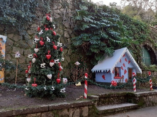reino natal.jpg
