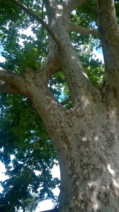 WP_20190608_10_26_26_Pro.jpg
