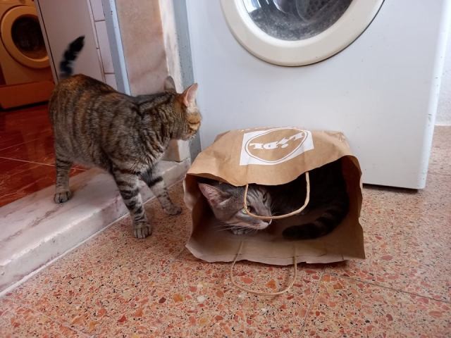 237400770_1484091461960210_7957045397766469331_n.j