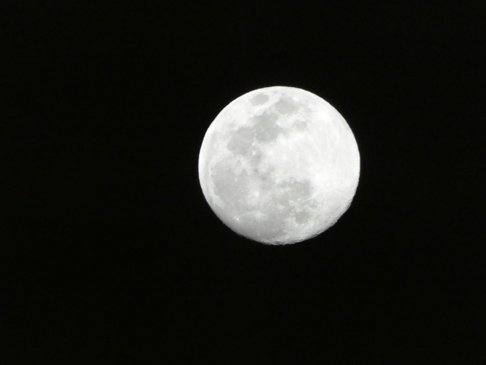 1000755.jpg 1000755.jpg