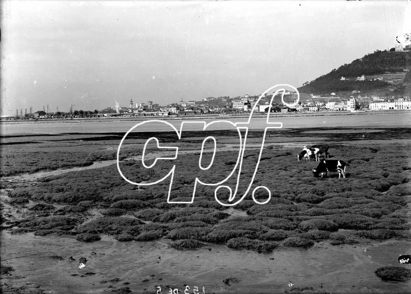 PT-CPF-ALV-015343_m0001.jpg