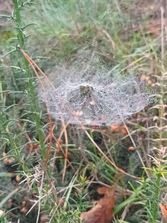 Não me canso disto 6.jpg