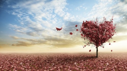 love-autumn-tree_759_thinkstockphotos-177812216.jp