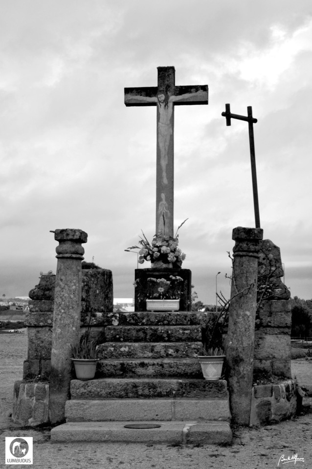 DSC_2722a.jpg