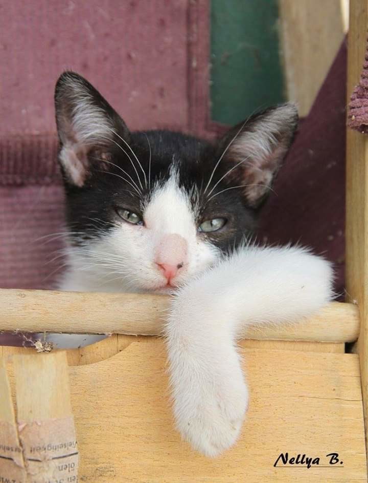 FB_IMG_1553292066949.jpg FB_IMG_1553292066949.jpg