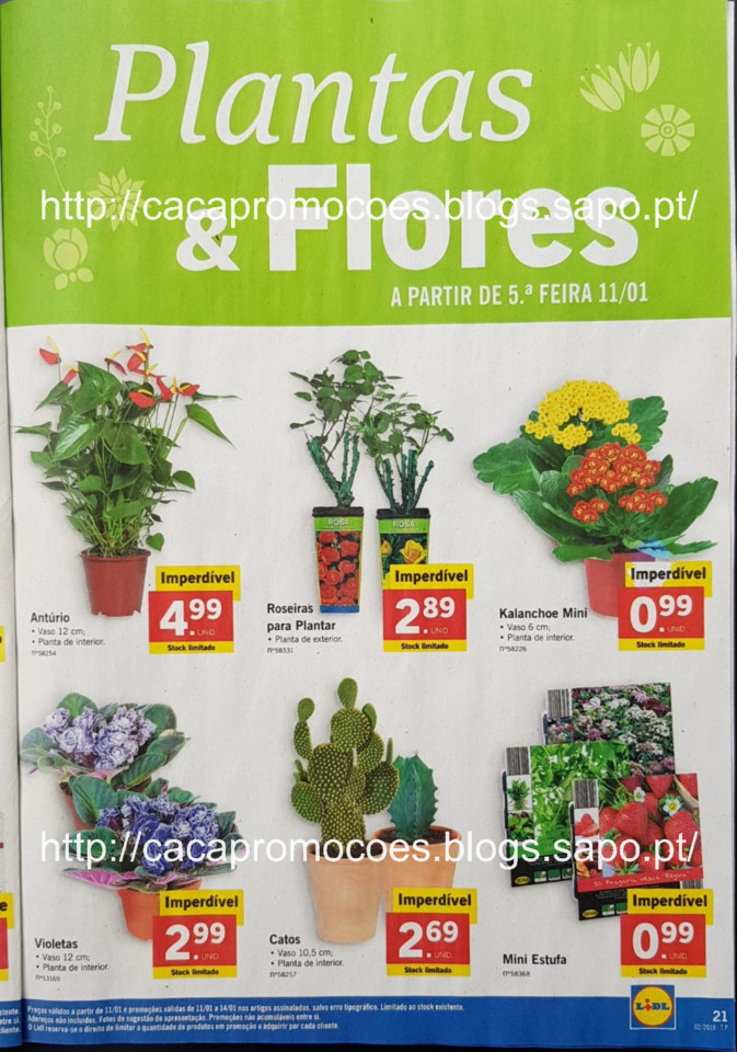 lidl folheto_Page21.jpg