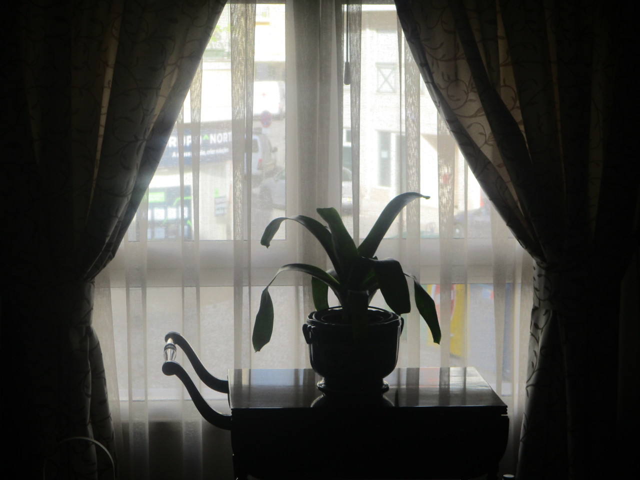 IMG_3414.JPG