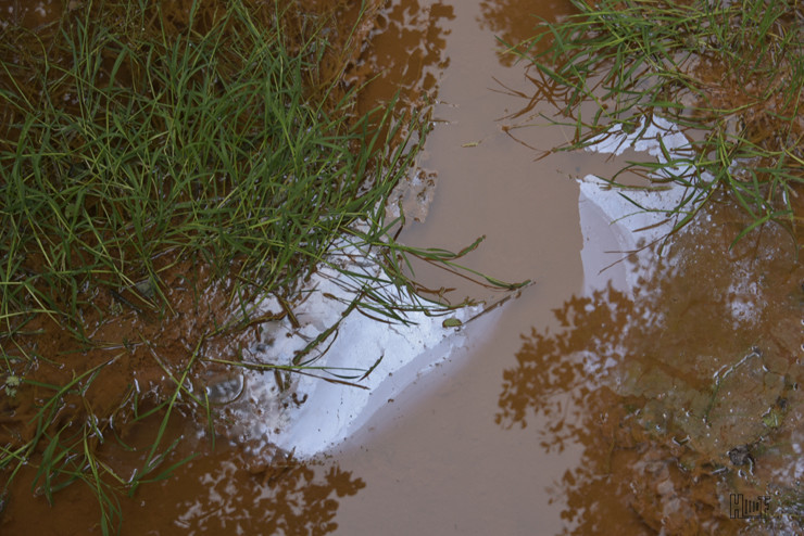 _DSC5253-20062019.JPG