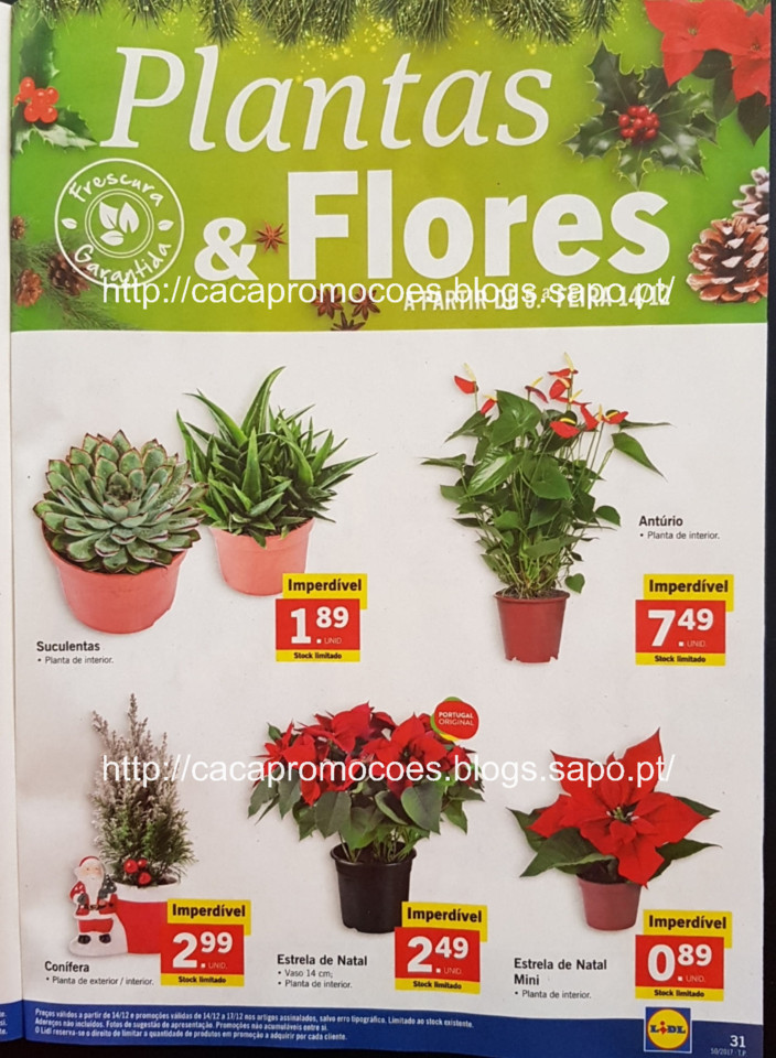 lidl folheto_Page31.jpg