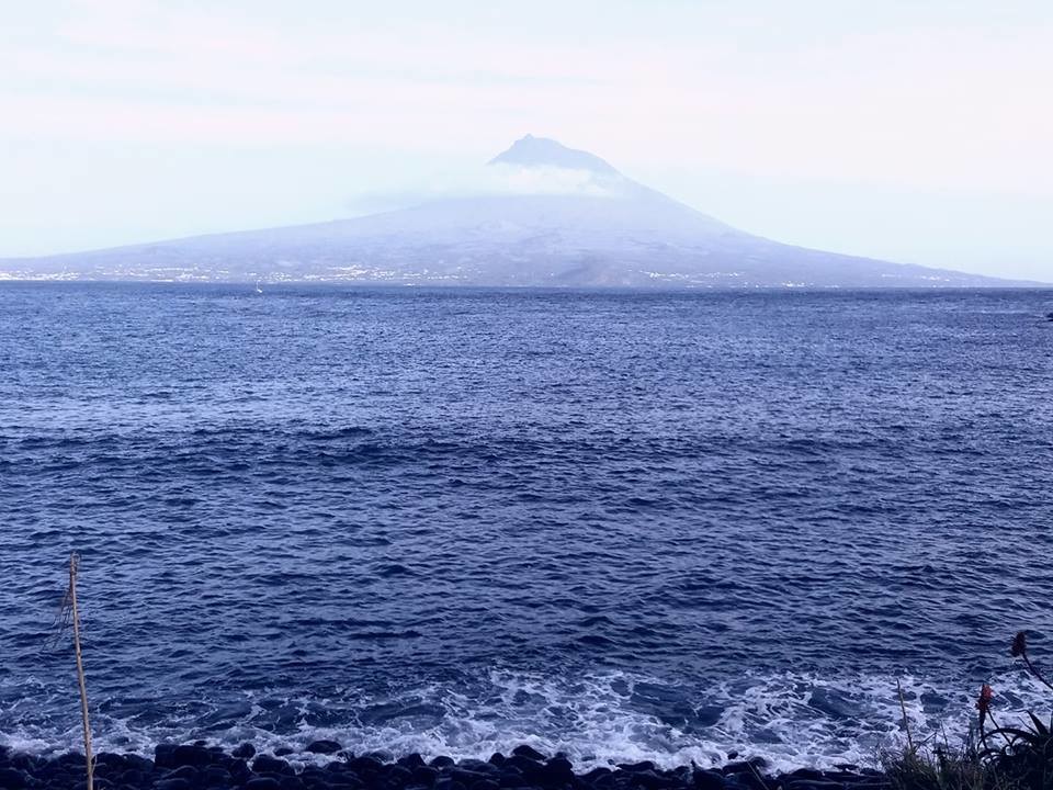 Pico azul.jpg