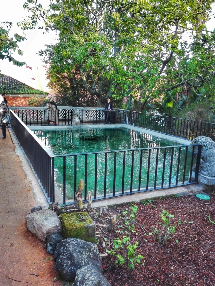 jardim tropical belem (14).jpg