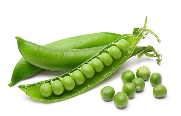 9272.jpg;width=600.jpg