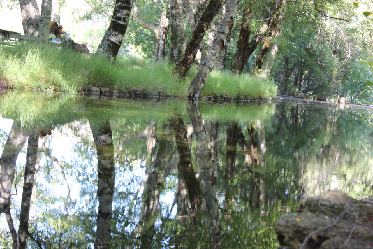 IMG_4191.JPG IMG_4191.JPG