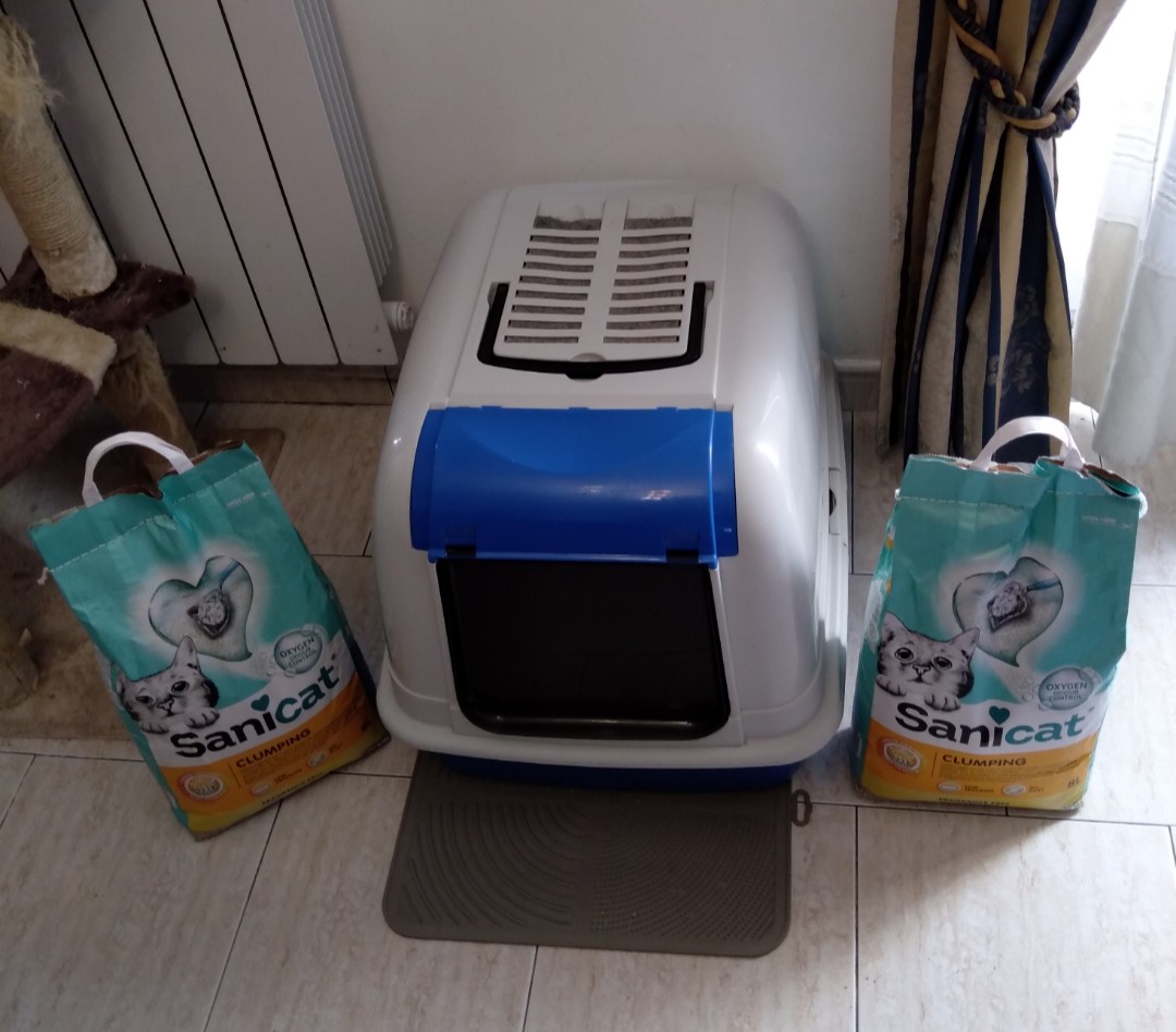 SquarePic_20201110_16100075.jpg SquarePic_20201110_16100075.jpg