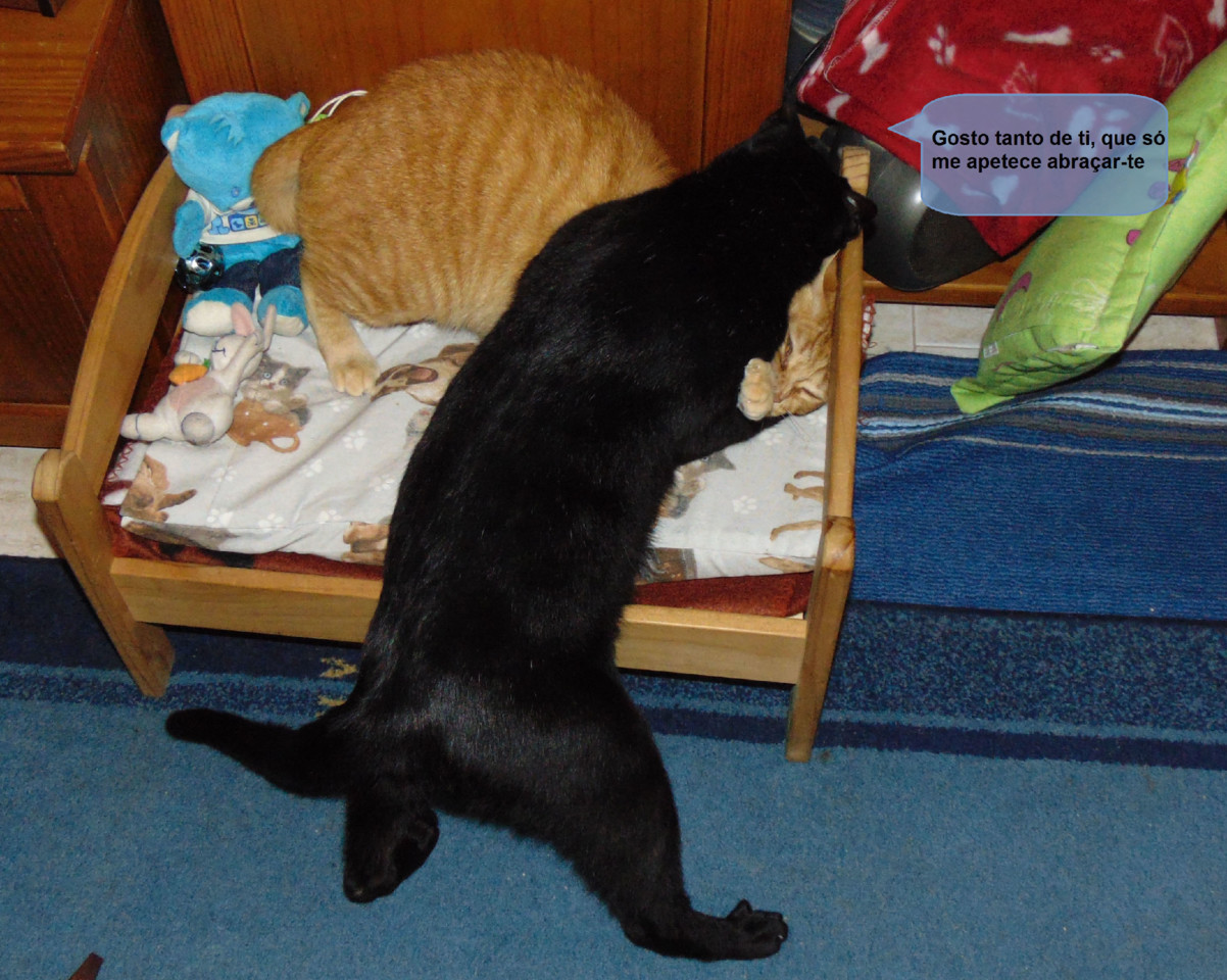 apertar.JPG apertar.JPG