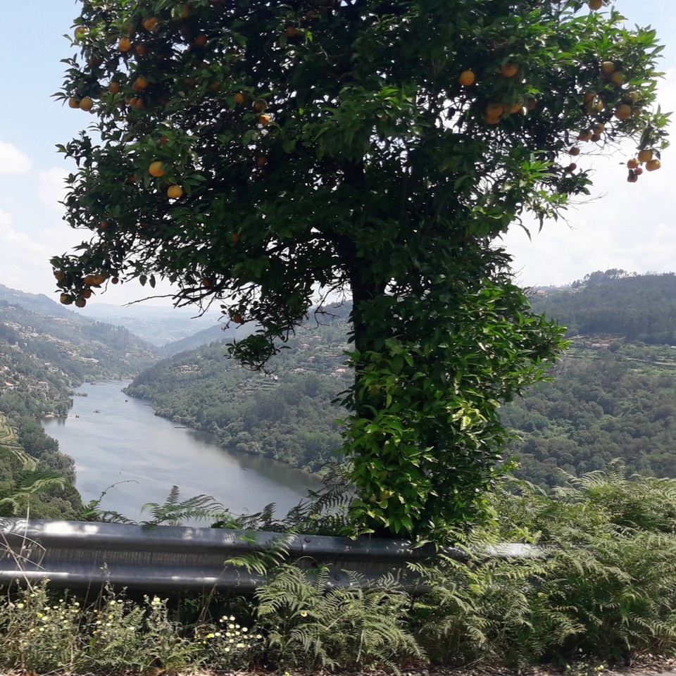 Rio Douro Rio Douro