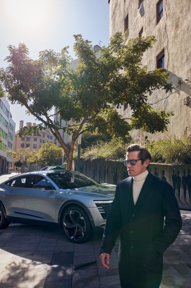 Werner-Schreyer-2018-Audi-011.jpg