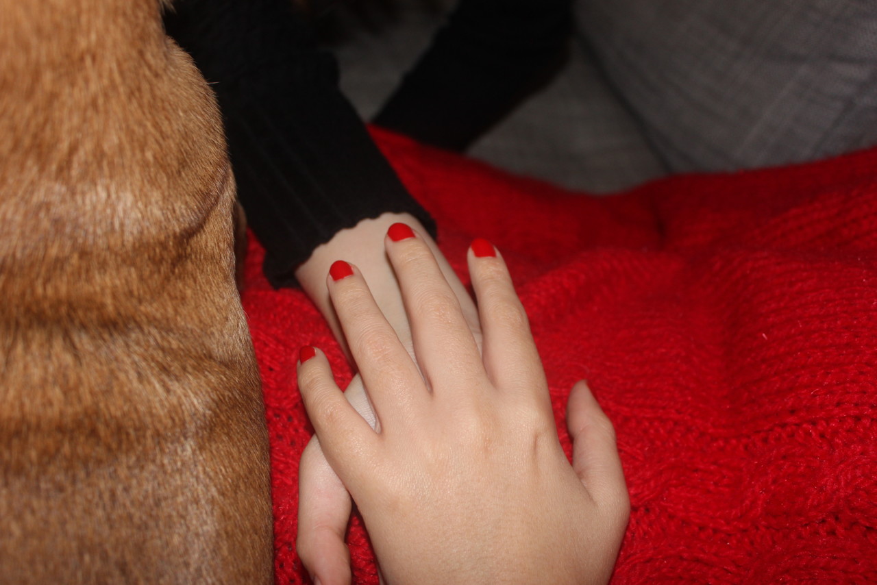 IMG_3345.JPG IMG_3345.JPG